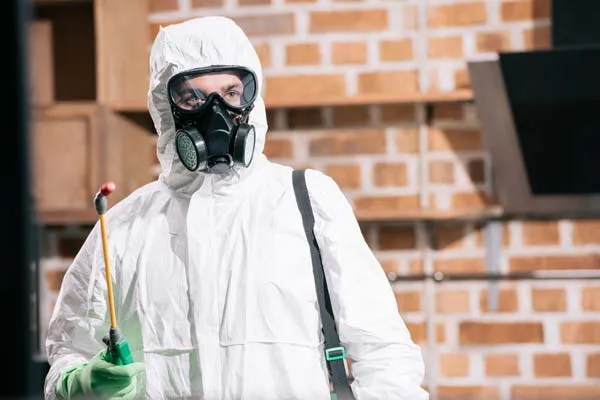 Pourquoi choisir un contrat de sanitation avec L.A’nti Nuisibles ?, Albert, L.A'nti Nuisibles