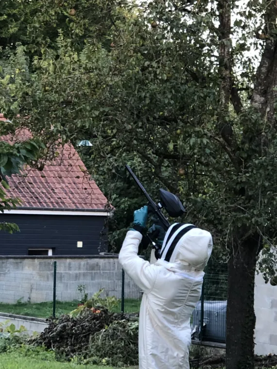 Se débarrasser des insectes par L.A'NTI NUISIBLES à ARRAS, Albert, L.A'nti Nuisibles